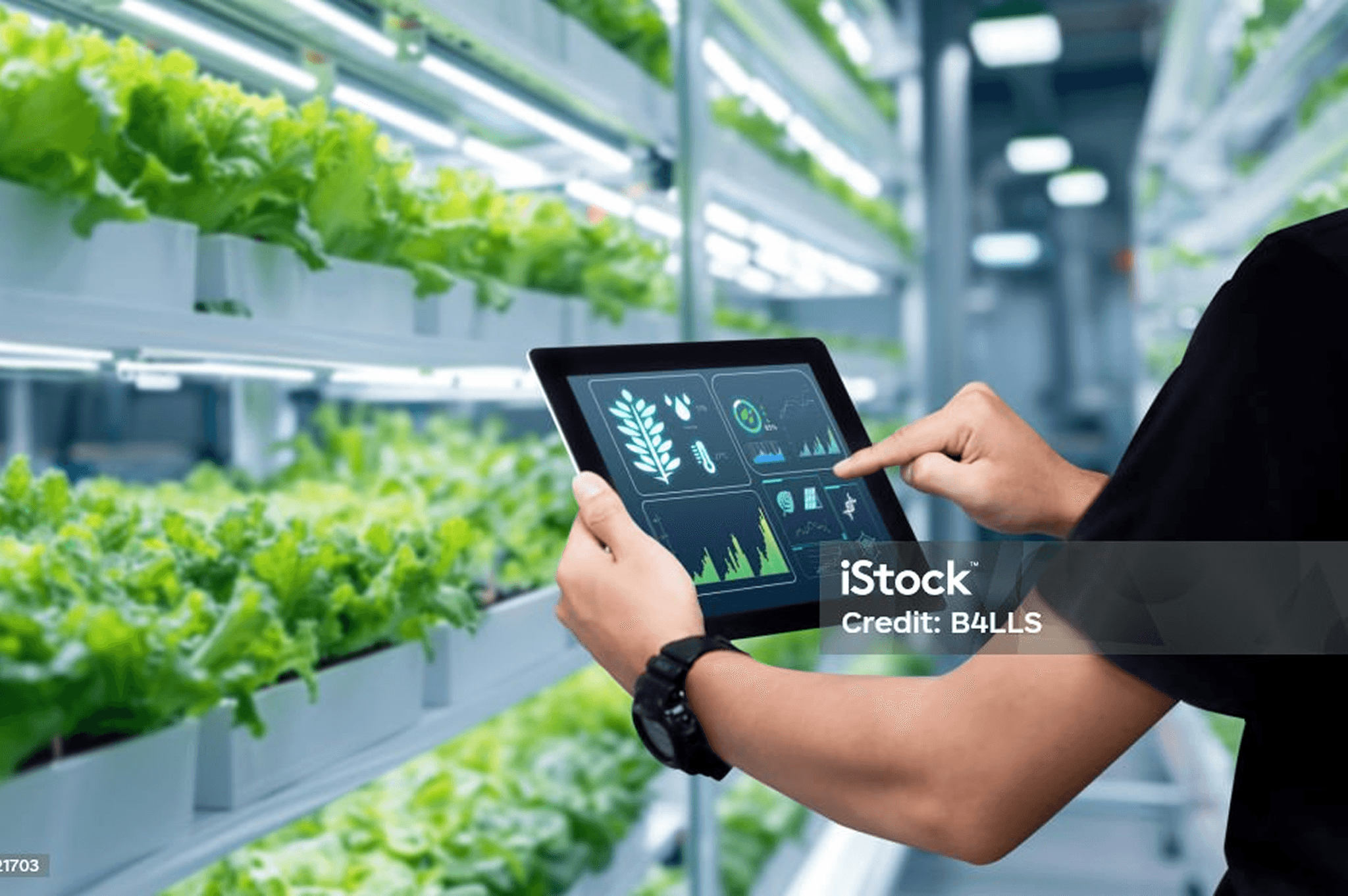 ESG & Sustainability Pod